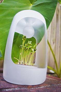 產品
